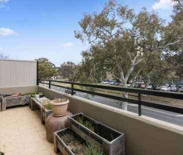 Your lifestyle upgrade in the heart of the Inner North - Photo 5