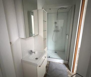 Location Appartement 1 pièce Meublé 35m² NANCY 54000 - Photo 6