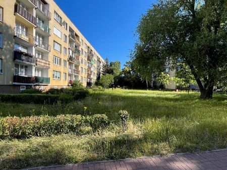 Mieszkanie Częstochowa Tysiąclecie powierzchnia 31.1 m² C225-WM-52092 - Фото 5