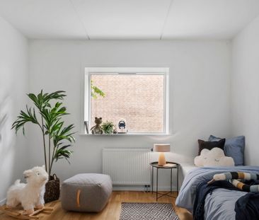 Velkommen til Store Grundet Alle! - Photo 4