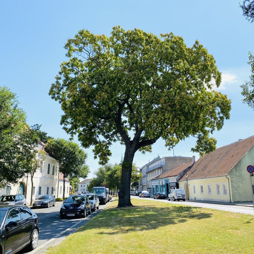 Leopold XXI - Traumhafte Erdgeschosswohnung mit Terrasse! - Photo 1