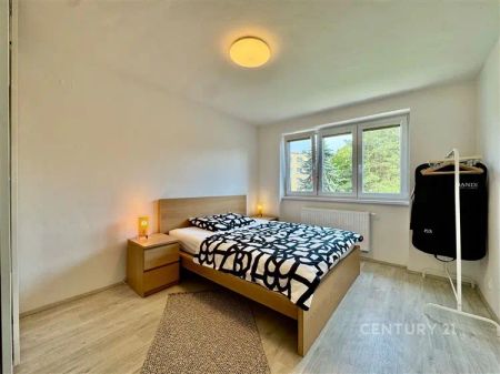 Byt po kompletní rekonstrukci s vybavením 2+1 s balkónem, 57 m - Photo 5