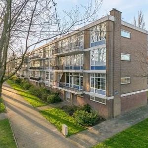 Schoonegge 0ong, 3085 Rotterdam, Nederland - Foto 2
