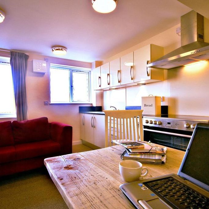 1 bedroom house to rent - Photo 1