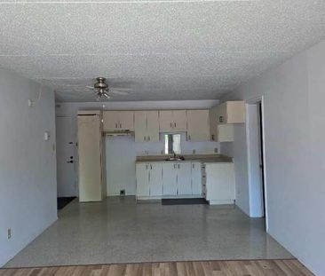 3 1/2 Boudoir : Idéal pour retraités et pré-retraités – SECTEUR rec... - Photo 2