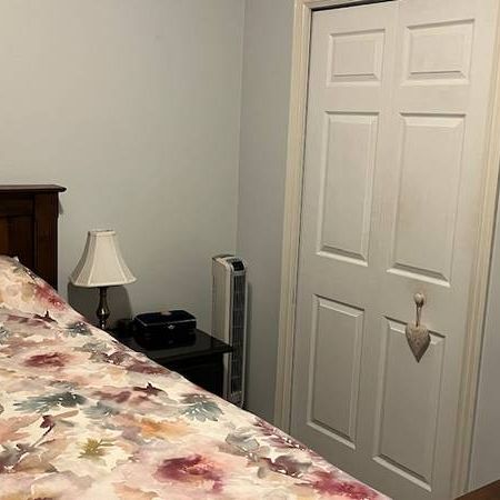 1 Bedroom Suite - Photo 3