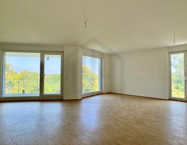 Moderne 3 Zimmer Neubauwohnung in Leopoldshafen - Photo 1