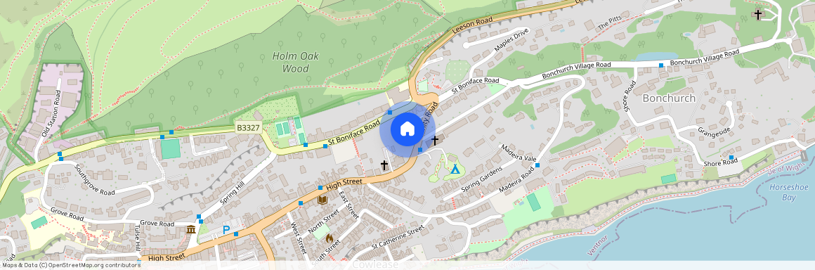 19 Trinity Road, Ventnor, Isle Of Wight. PO38 1NL