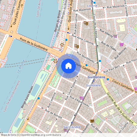 2 rue Basse Combalot, LYON, 69007