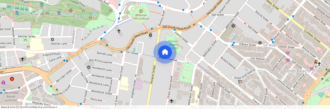 19 Martins Avenue, Bondi NSW 2026