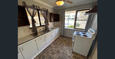 Discover Dorrigo - Photo 4