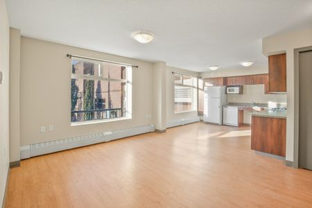 Wheelchair Accessible Unit with Elevator in Downtown Red Deer. - Photo 5