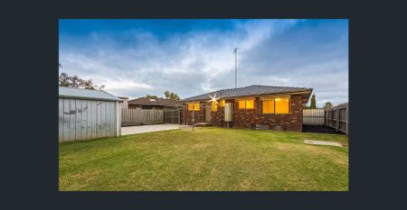 Spacious 3 Bedroom Belmont Home! - Photo 4