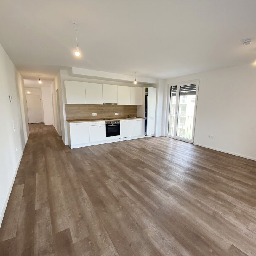 Wohnen im Grünen: Ihr neues Zuhause im Herzen des Tullnerfelds - Foto 1