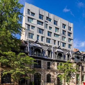 ✨ Loft à louer – Bishop Embassy (Centre-ville de Montréal) ✨ - Photo 2
