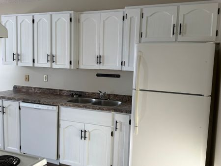 Newley Renovated Duplex Close to Bower! - Photo 4