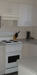 Tidy Two Bedder in Tinonee - Photo 3