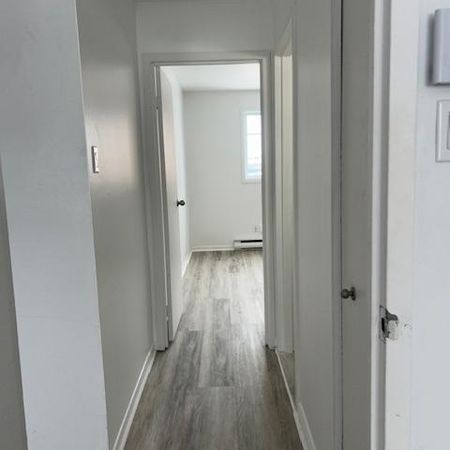 Appartement à louer à partir du 1er août – 4 ½ - 4 1/2 apartment to rent - available from Aug 1st - Photo 3