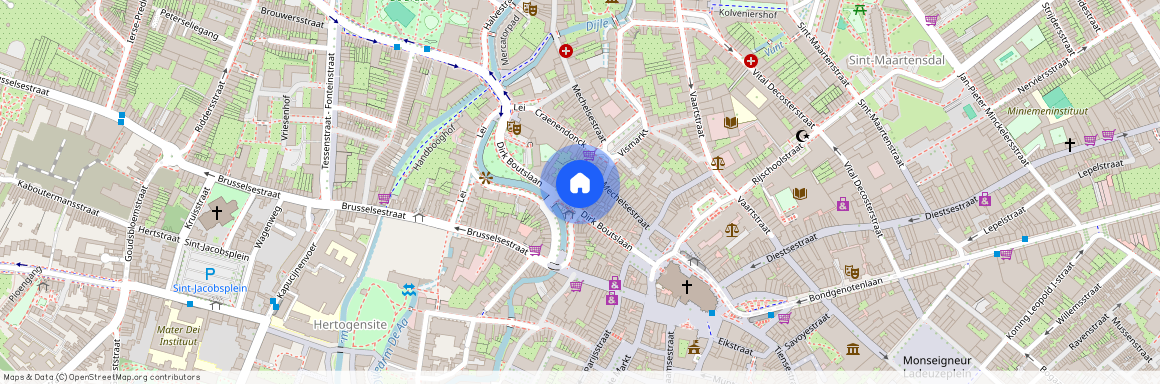 Wandelingstraat 11 / 0101, 3000 Leuven