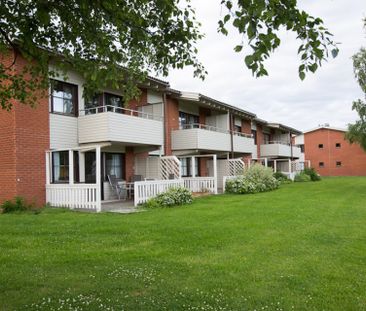 Brännsvedjevägen, Kåge - Photo 2