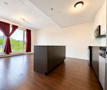 5200 Av. Gatineau Montréal (Côte-des-Neiges, QC H3T - Photo 5