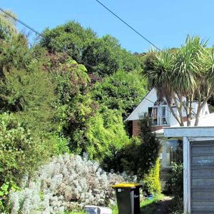 Charming Home in North Dunedin! - Photo 2