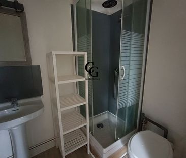 Location Appartement 1 pièce 17m² NANTES 44200 - Photo 2