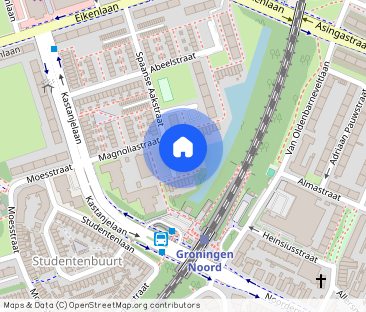 Spaanse Aakstraat 43, 9741 CT Groningen - Photo 1