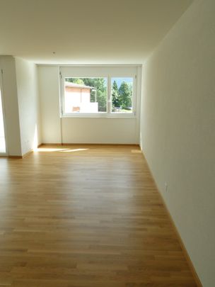 Grosszügige 7.5-Zimmerwohnung an ruhiger Lage - Photo 1