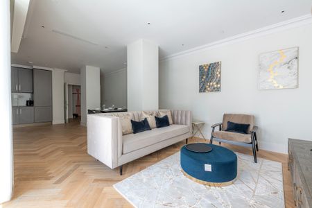 Millbank Residence, SW1P, London - Photo 4