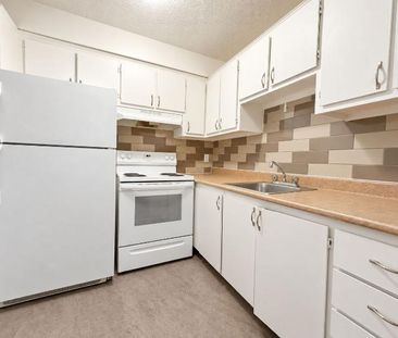 1 CH - 1 SDB - Montréal - $1,250 /mo - Photo 2