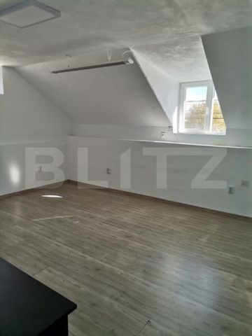 Vilă cu 5 camere de inchiriat in Vladimirescu - Photo 3