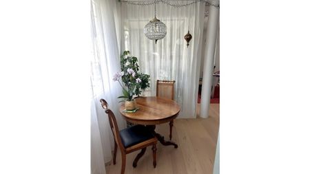 2½ Zimmer-Wohnung in Rapperswil (SG), möbliert, auf Zeit - Foto 3