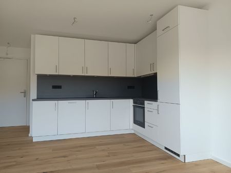 Erstbezug! 2-Zi-Dachterrassenwohnung mit EBK,TG, Energieeffizienz! - Photo 2