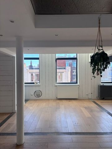 Loft 5 pièces à Lille - Photo 3