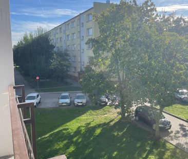 Świeżo po remoncie,3 pokoje,loggia, top lokalizacj - Photo 6