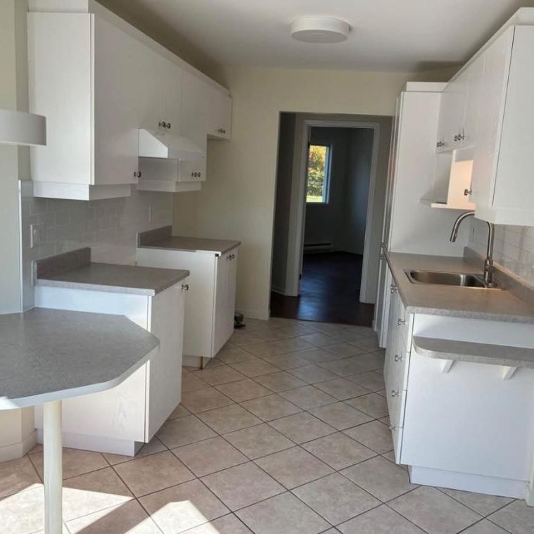 Appartement 4 1/2 à louer - Photo 1