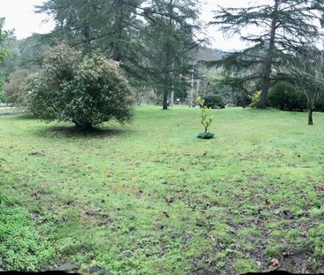 Eltham - Photo 6
