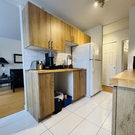 Appartement 4 ½ à louer Lévis juillet 2026 - Photo 3