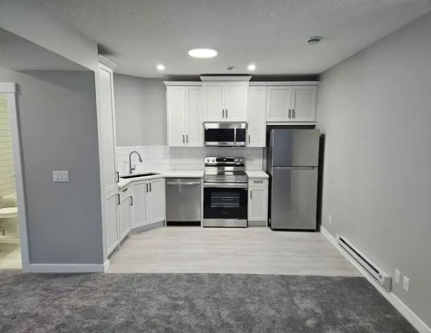 Brand new 2 bedroom basment suite with 9 ft ceilings, Utilities Included | 250 Creekstone Hill Southwest, Calgary - Photo 1