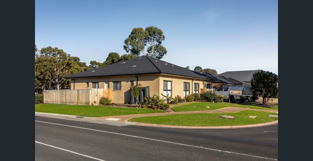 Co- Living studio apartments in Prime Somerville Location - Fully furnished, Utilities and internet included in the rent! - Photo 1