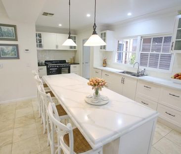 82 Middle Street, Randwick NSW 2031 - House For Rent | Domain - Photo 5
