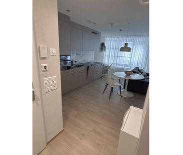 1½ Zimmer-Wohnung in Neuhausen am Rheinfall (SH), möbliert, auf Zeit - Foto 5