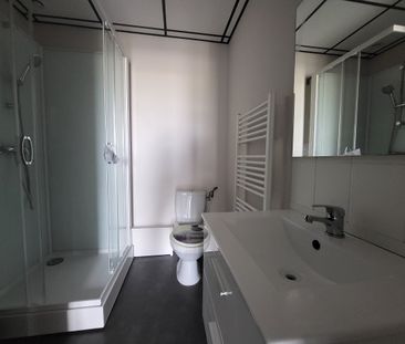 Location Appartement 1 pièce 20m² - Photo 3