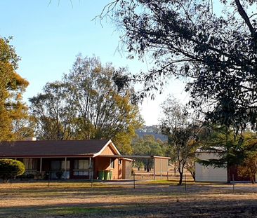 52 Bungowannah Road, Jindera - Photo 4