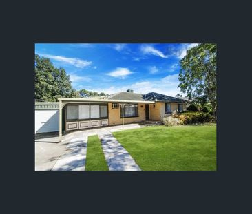 Spacious Family Living in Pooraka - Photo 5