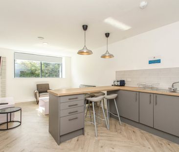 1 bed Shared Flat for Rent - Photo 5
