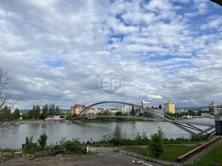 Magnifique T2 à Huningue - Photo 4