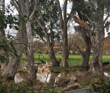 HOME AMONGST THE GUM TREES - Photo 3