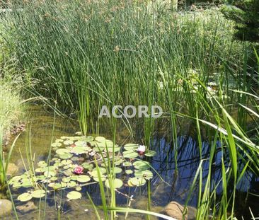 Warszawa, Ursynów, Nugat - Photo 4